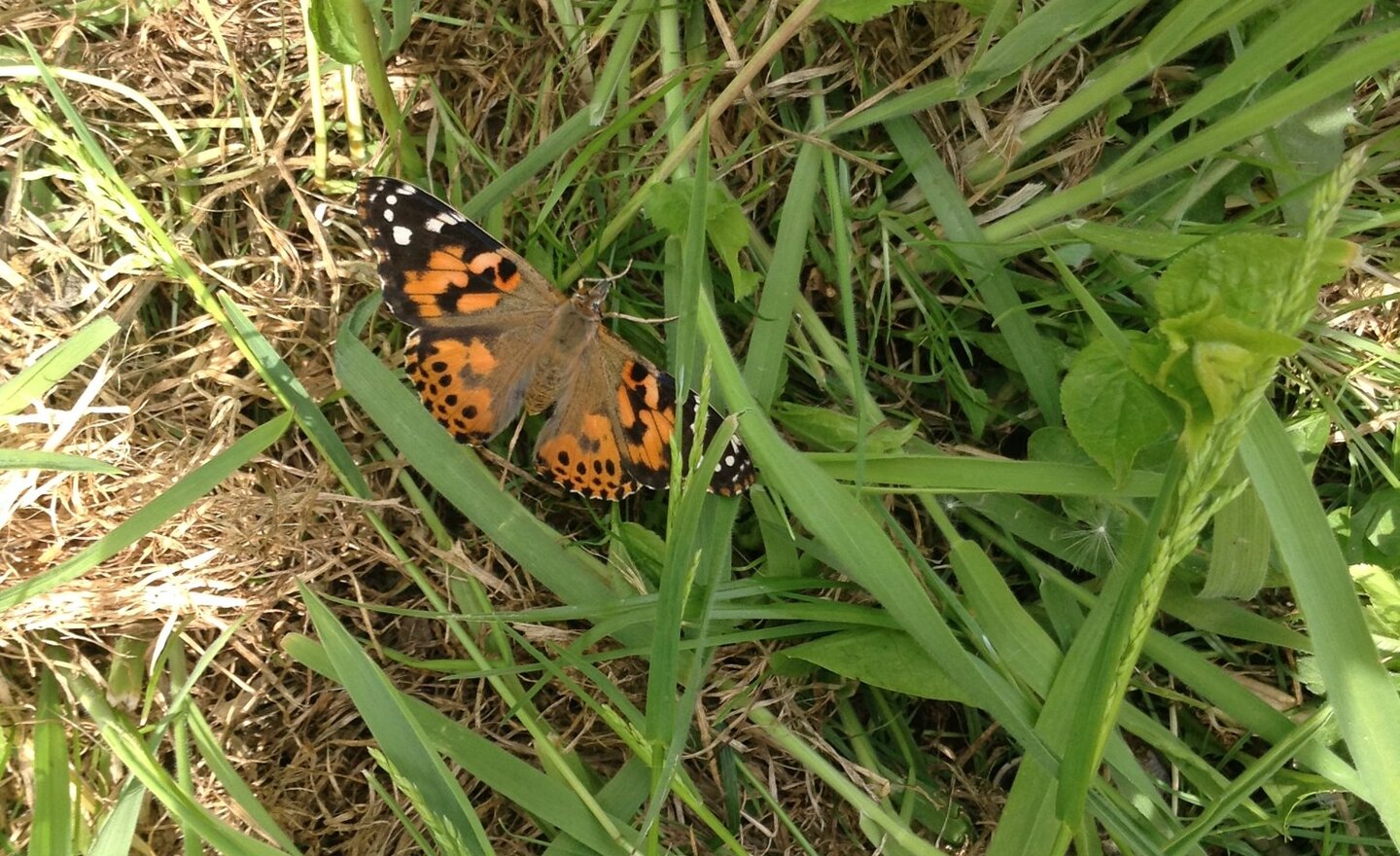 Image of Wednesday 23rd May