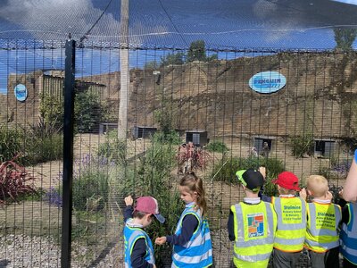 Image of EYFS & KS1 trip to Blackpool Zoo 2024