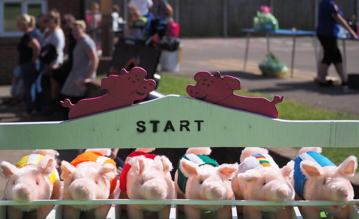 Image of Stalmine Summer Fair