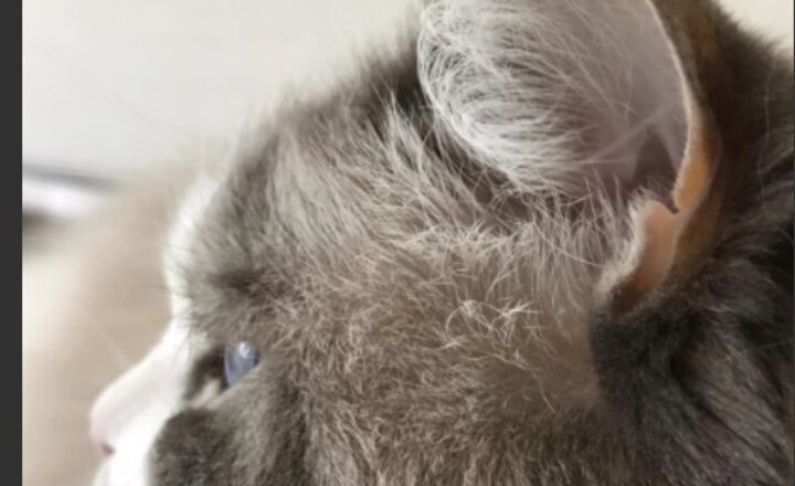 Image of Photography from 4