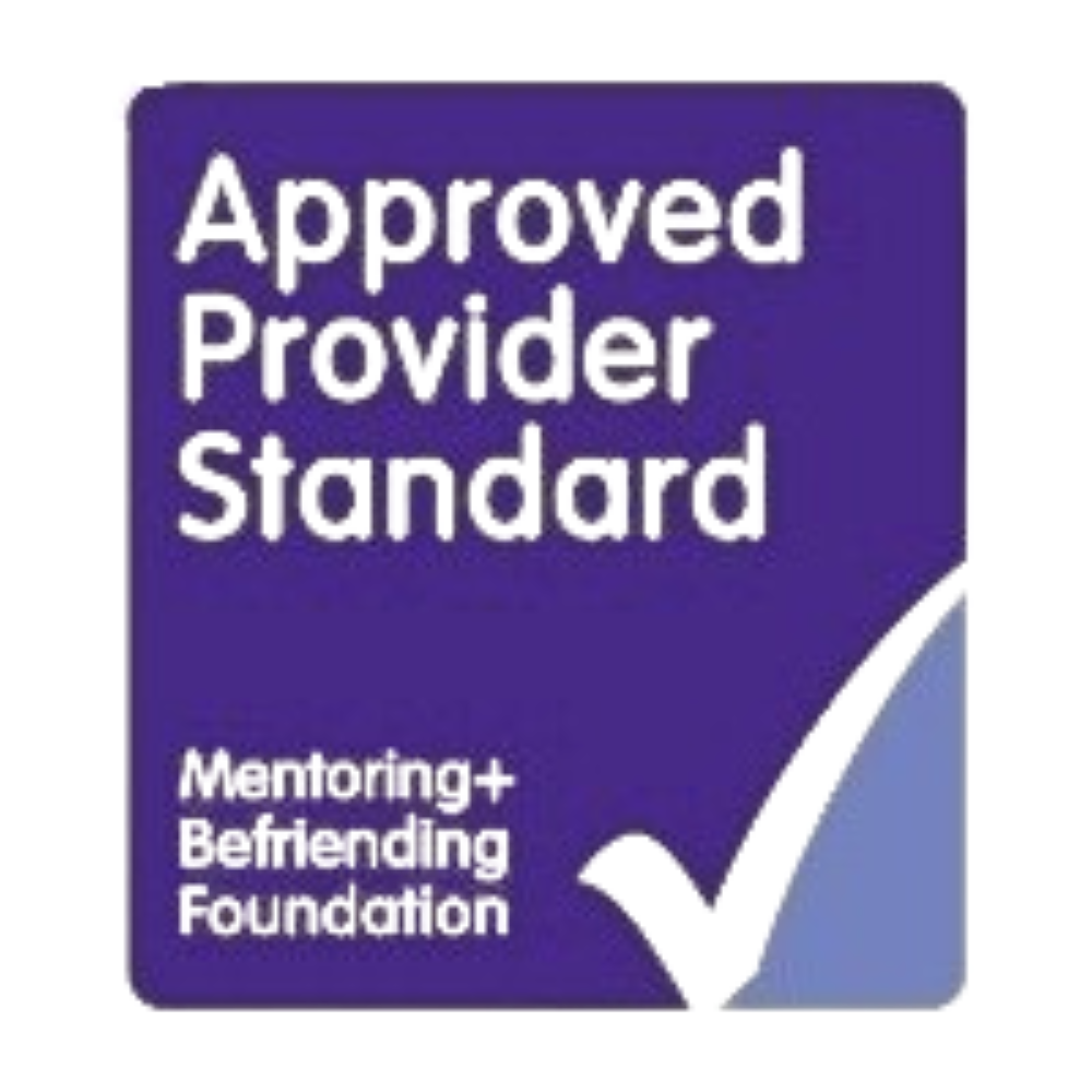 Approved Provider Standard