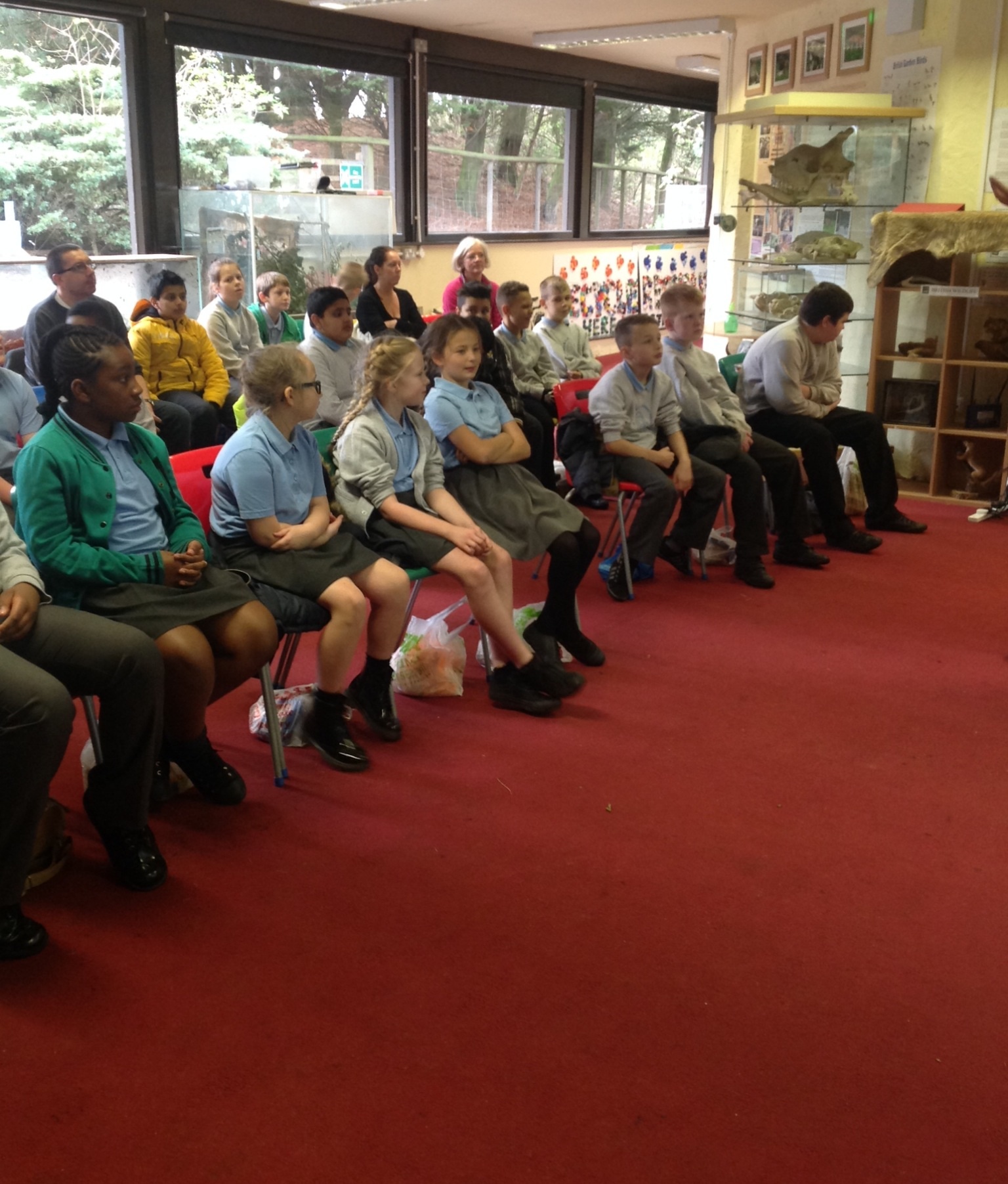 Image of Lots of learning in the education room at the zoo!