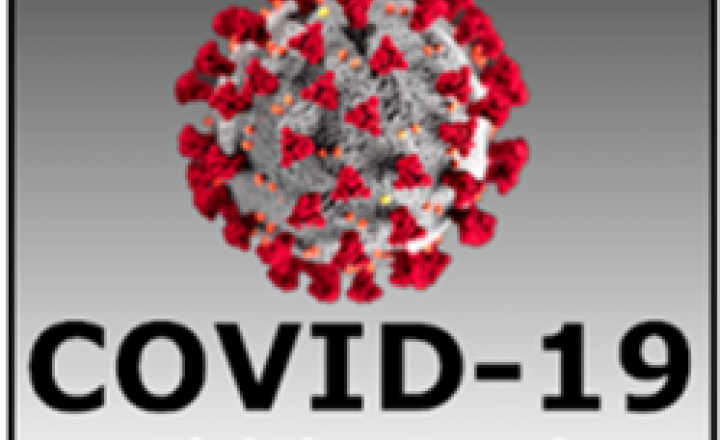 Image of COVID-19: Fighting Fraud