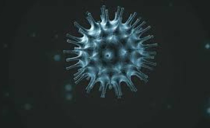 Image of UPDATED: Corona Virus Update