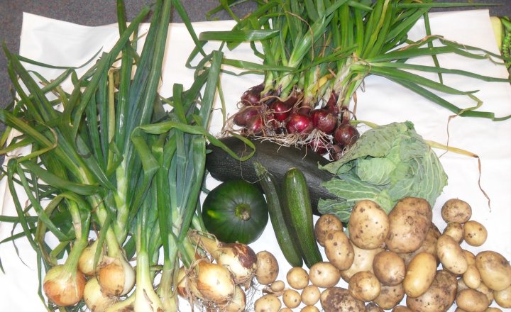 Image of Gardening Club