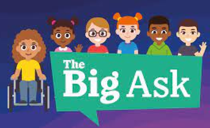 Image of The Big Ask.