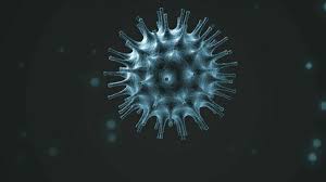 Image of UPDATED: Corona Virus Update