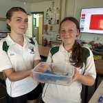 Image of Y8 students give a presentation on animal extinction!
