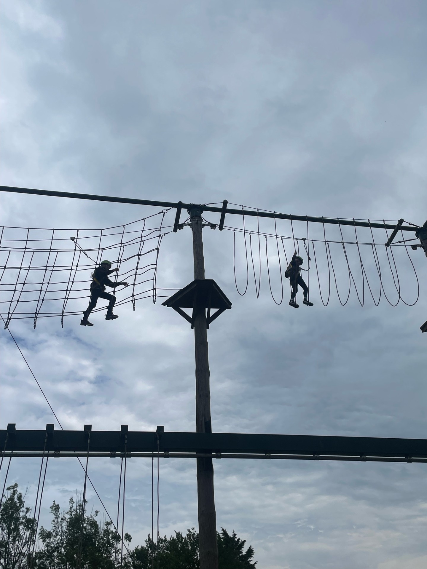 Image of Y7 Students try the High Rope Course!