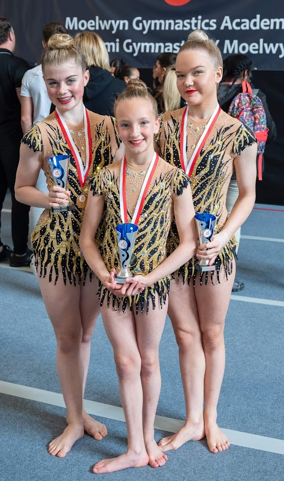 Image of Gymnastic Success 