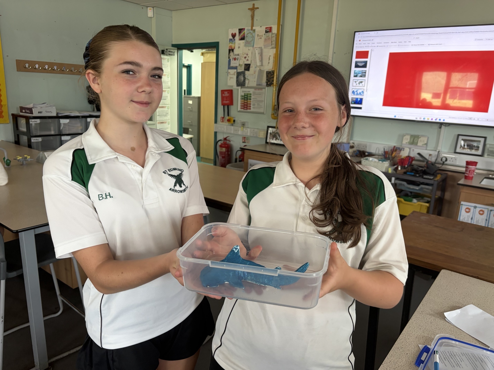 Image of Y8 students give a presentation on animal extinction!