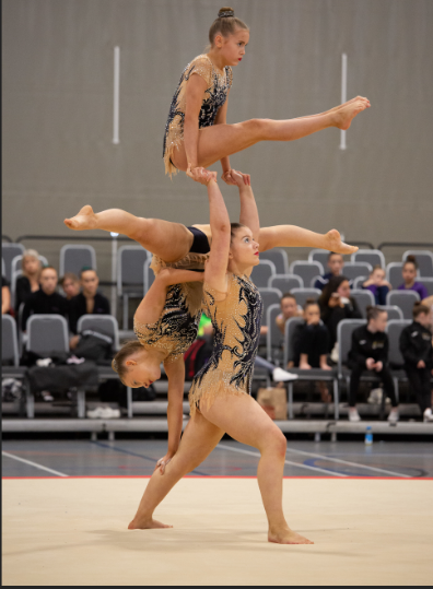 Image of SEA GYMNASTIC SUCCESS!