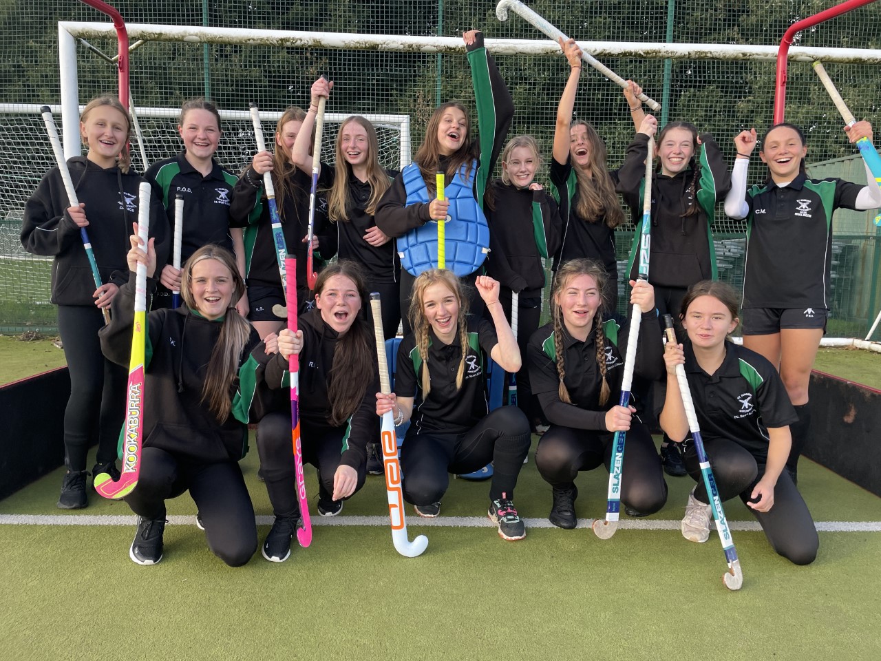 Image of Girls' Hockey Success!