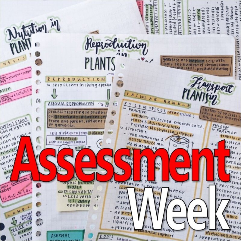 Image of ASSESSMENT WEEK