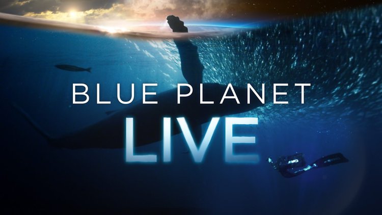 Image of Blue Planet Live 