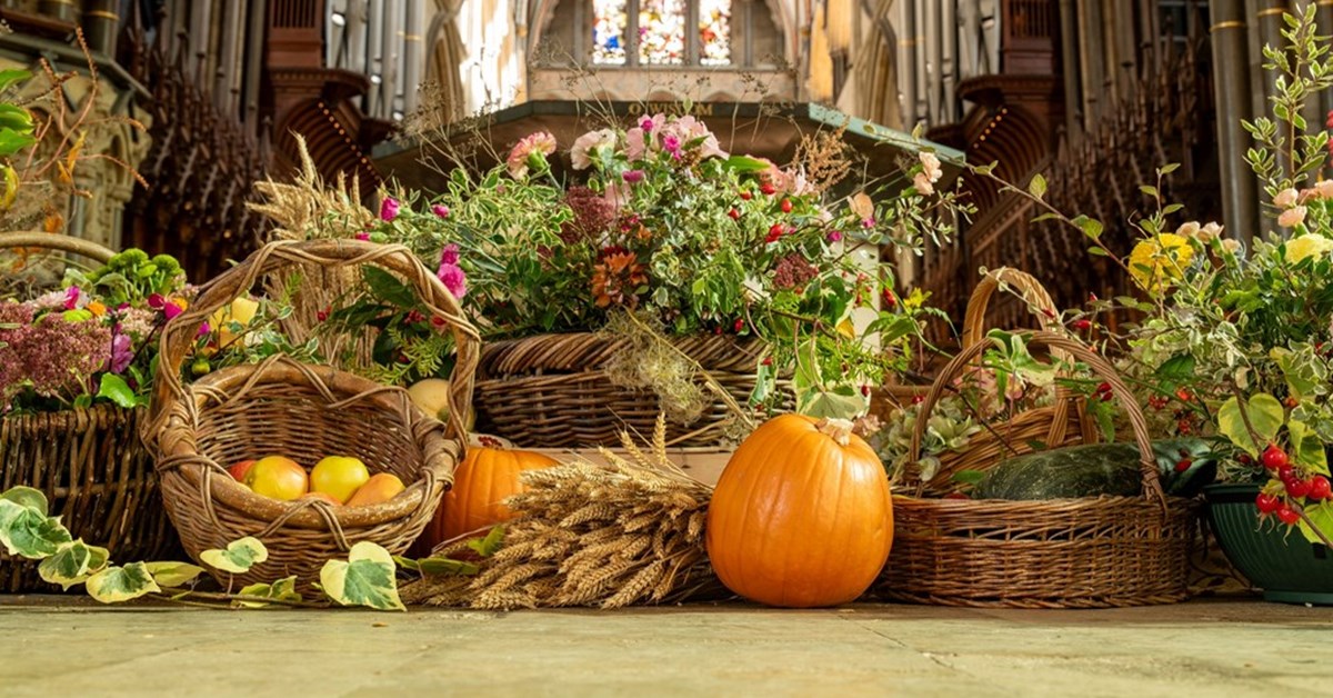 Image of Harvest 