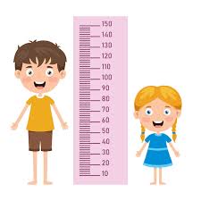Image of EYFS & Year 6 Height & Weight Checks