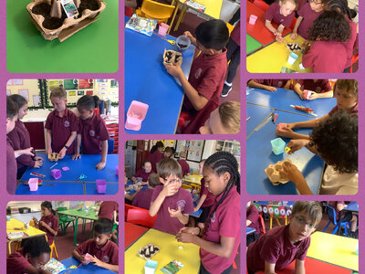 Image of Creating our own mini greenhouses!