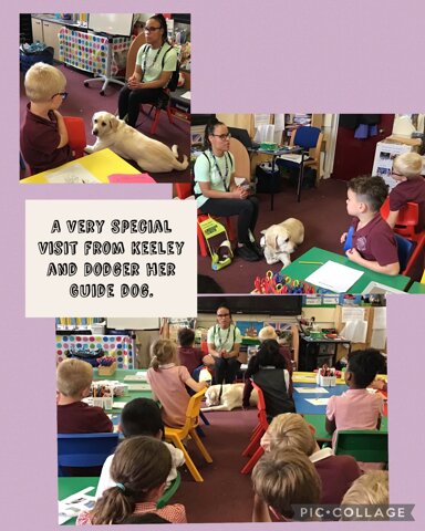 Image of Keeley and Guide Dog Dodger Visit Year 2