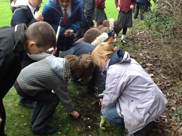 Image of Green Fingers!