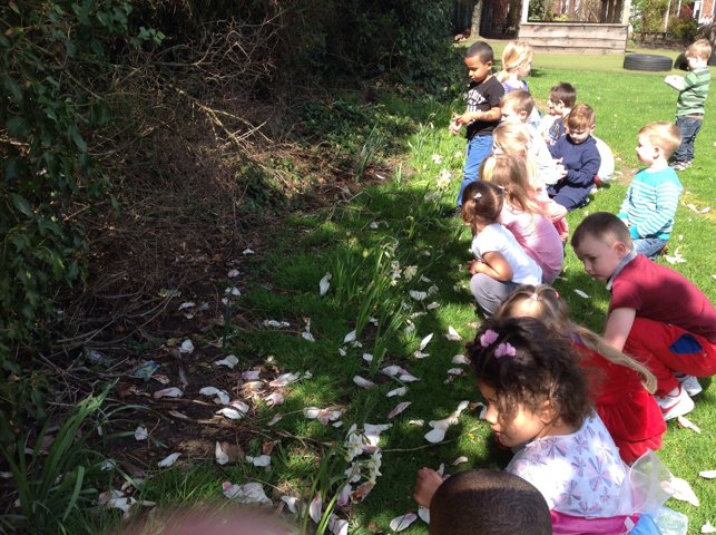 Image of Gardening With Nursery