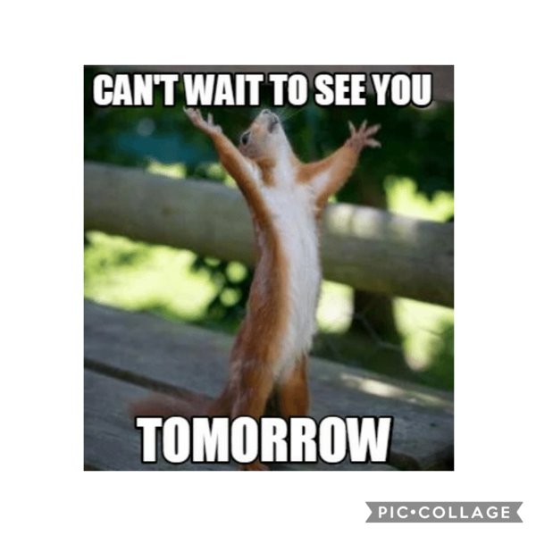 See You Tomorrow Meme