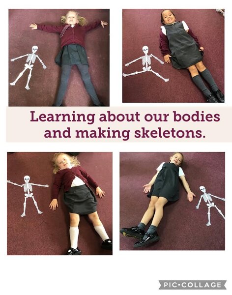 Image of Learning about our bodies!