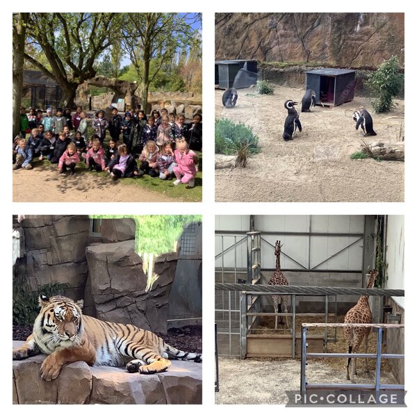 Image of Blackpool Zoo