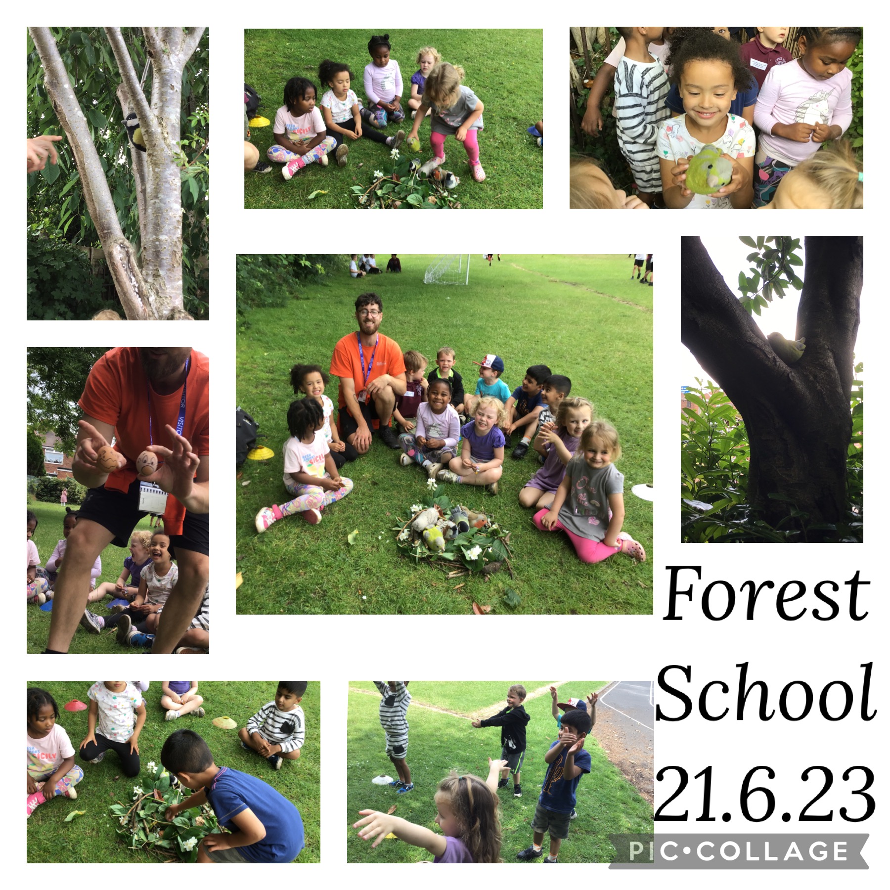 Image of Forest School 21.6.23