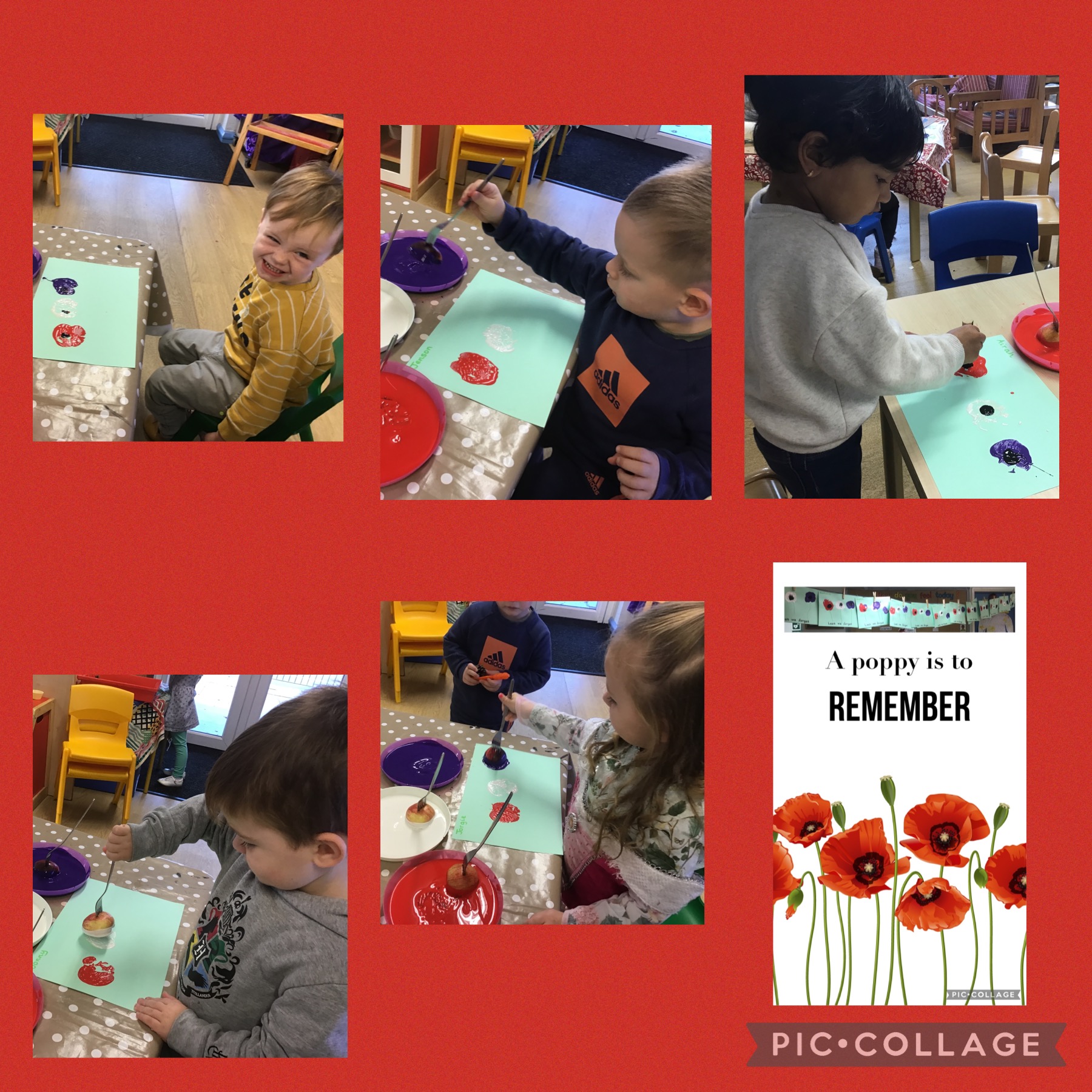 Image of Poppy Day Activities