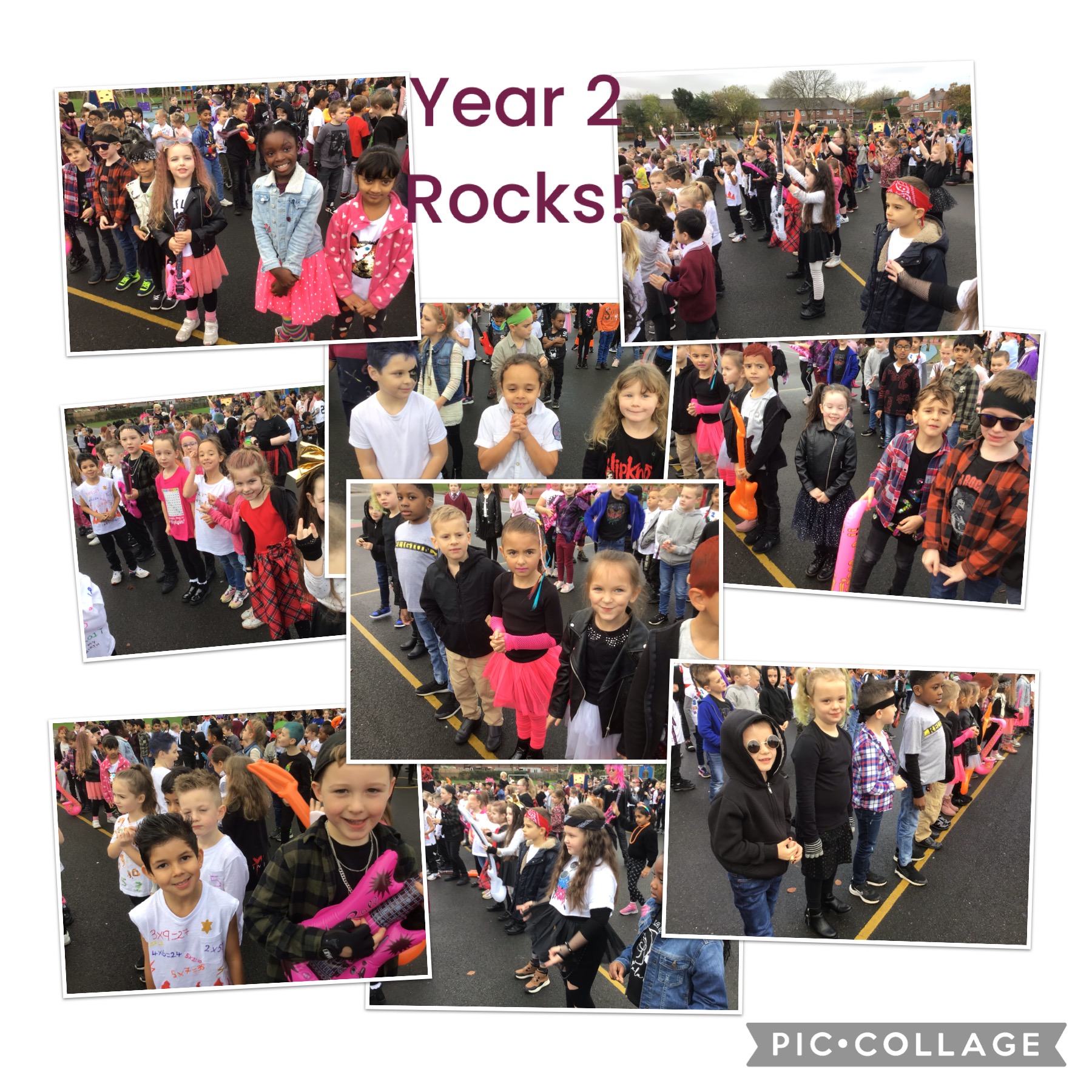 Image of Year 2 Rocks