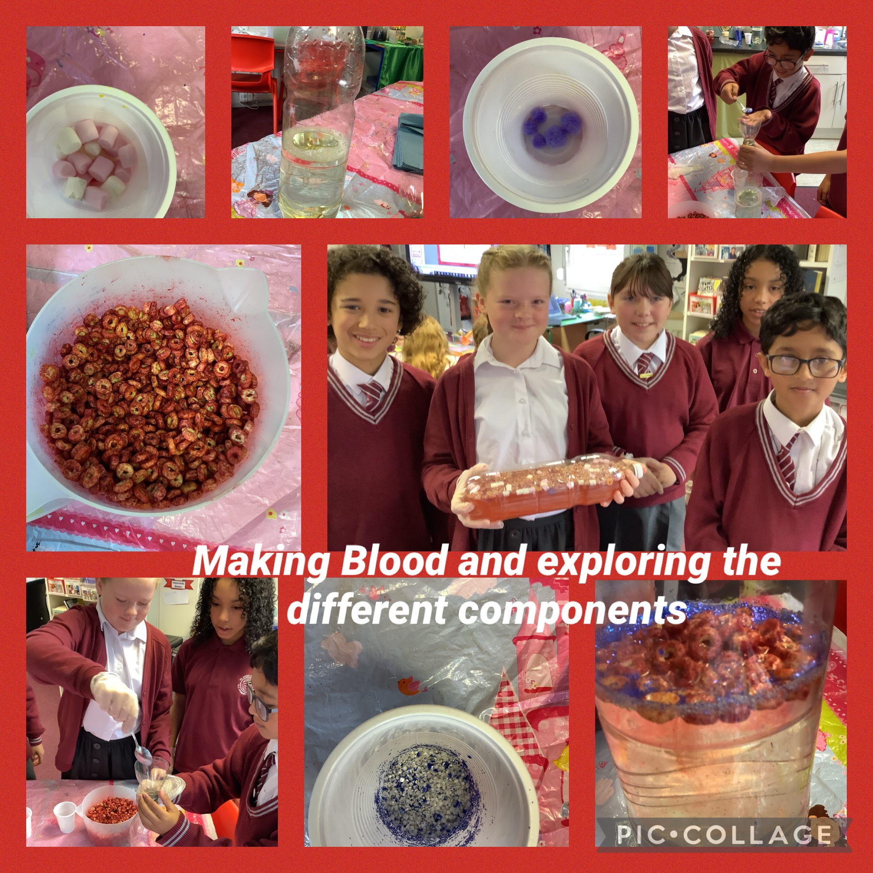 Image of Making Blood