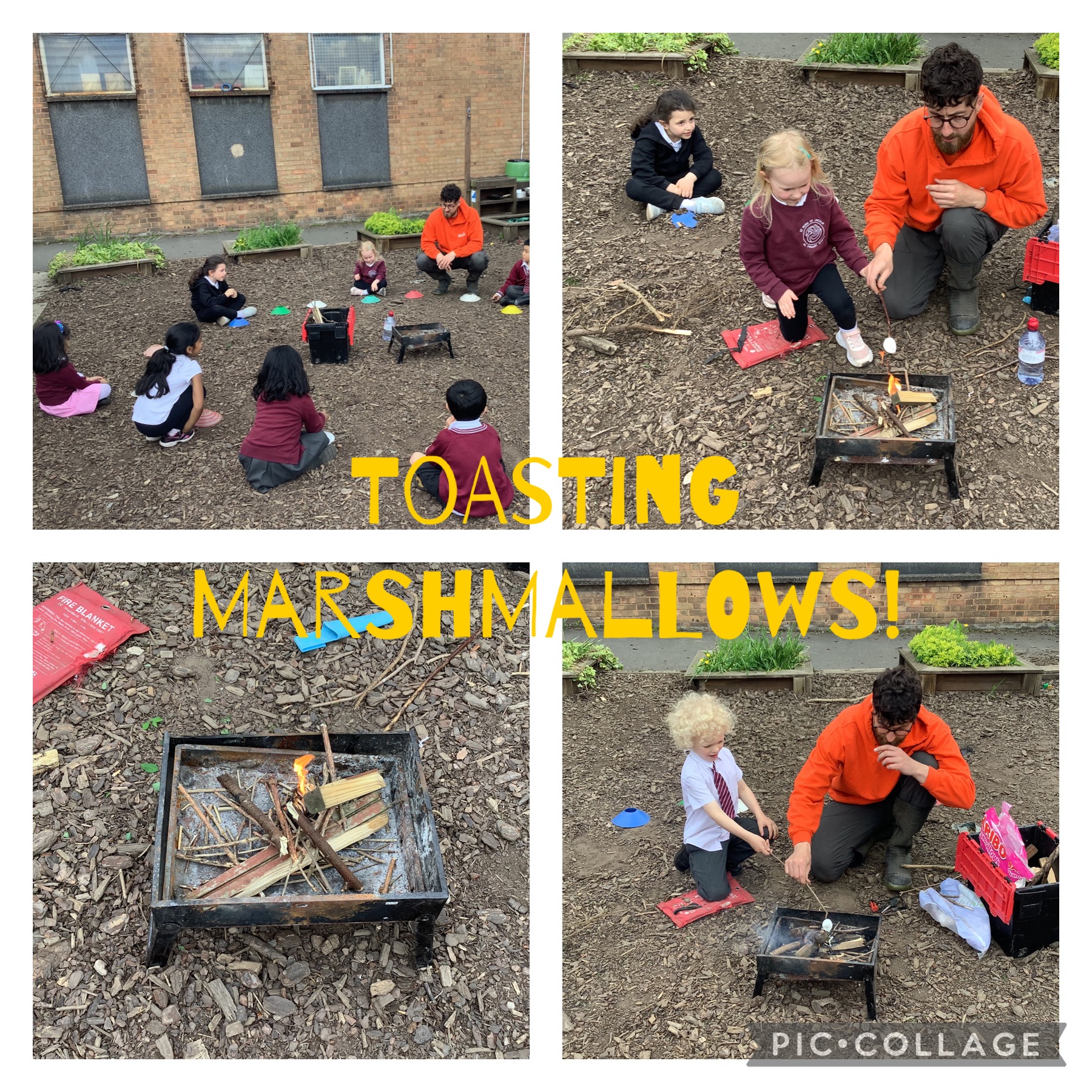 Image of Toasting Marshmallows!