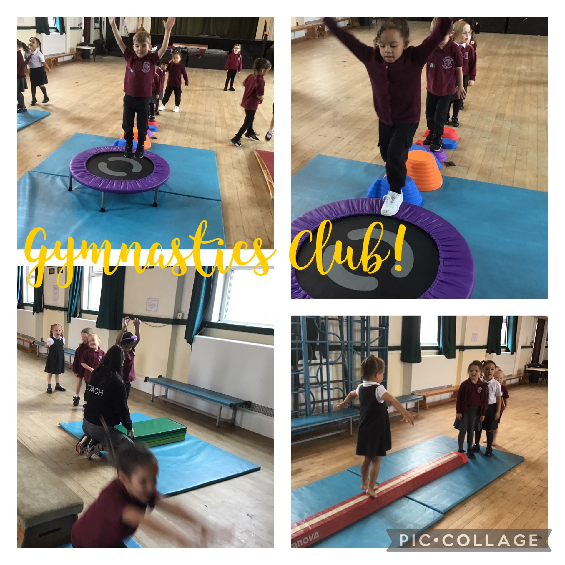 Image of Gymnastics Club!