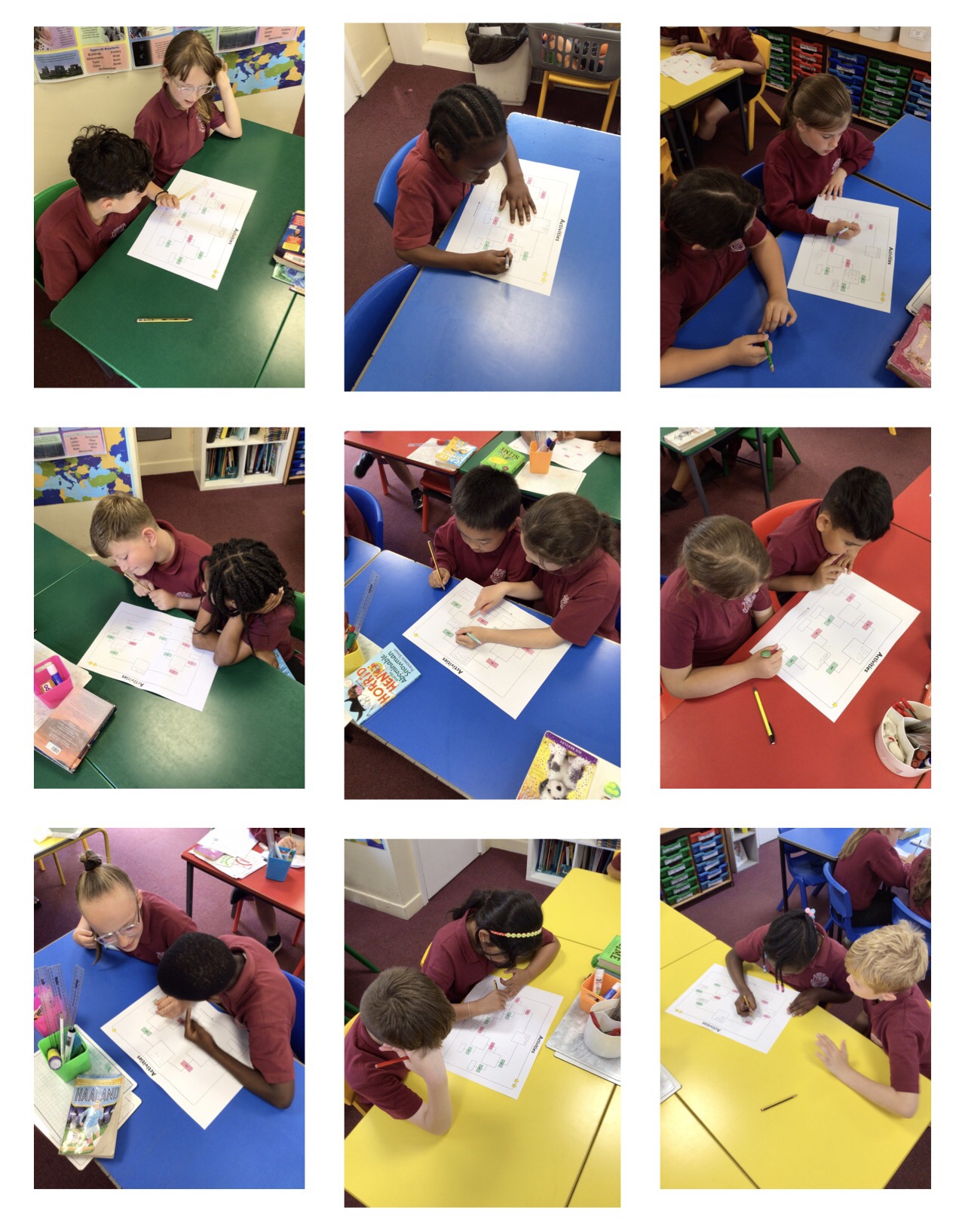 Image of Classifying living things in our environment!