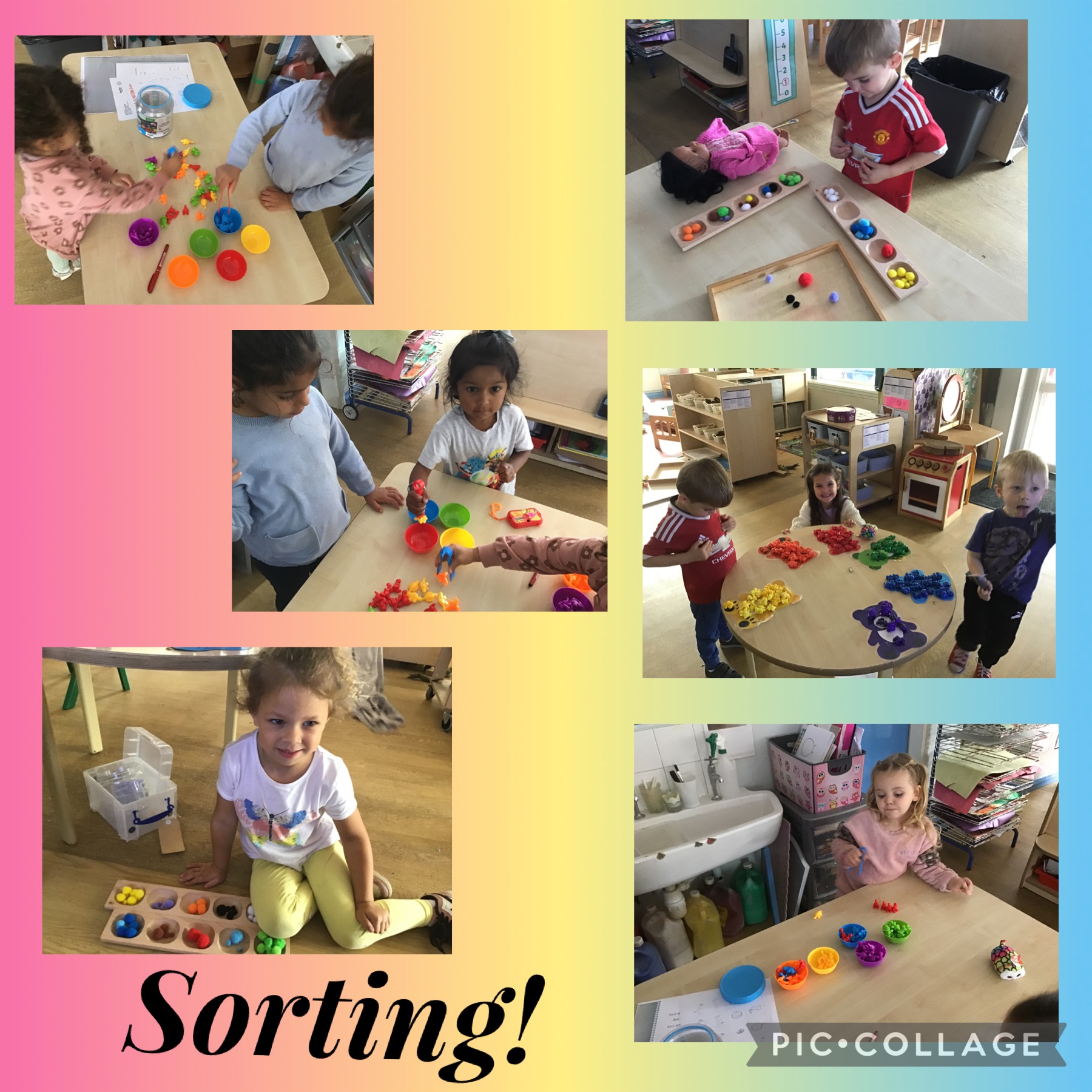 Image of Sorting. 