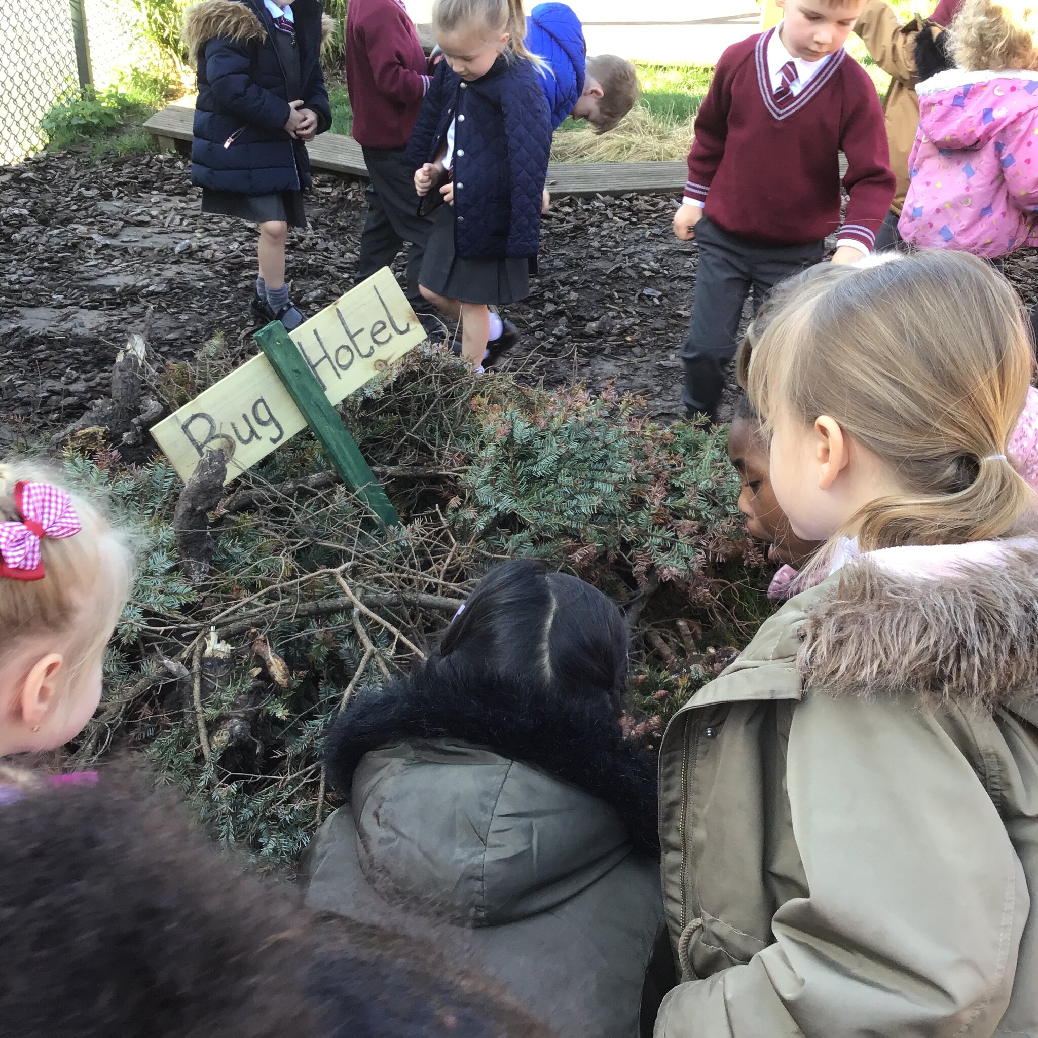 Image of Bug Hotel!