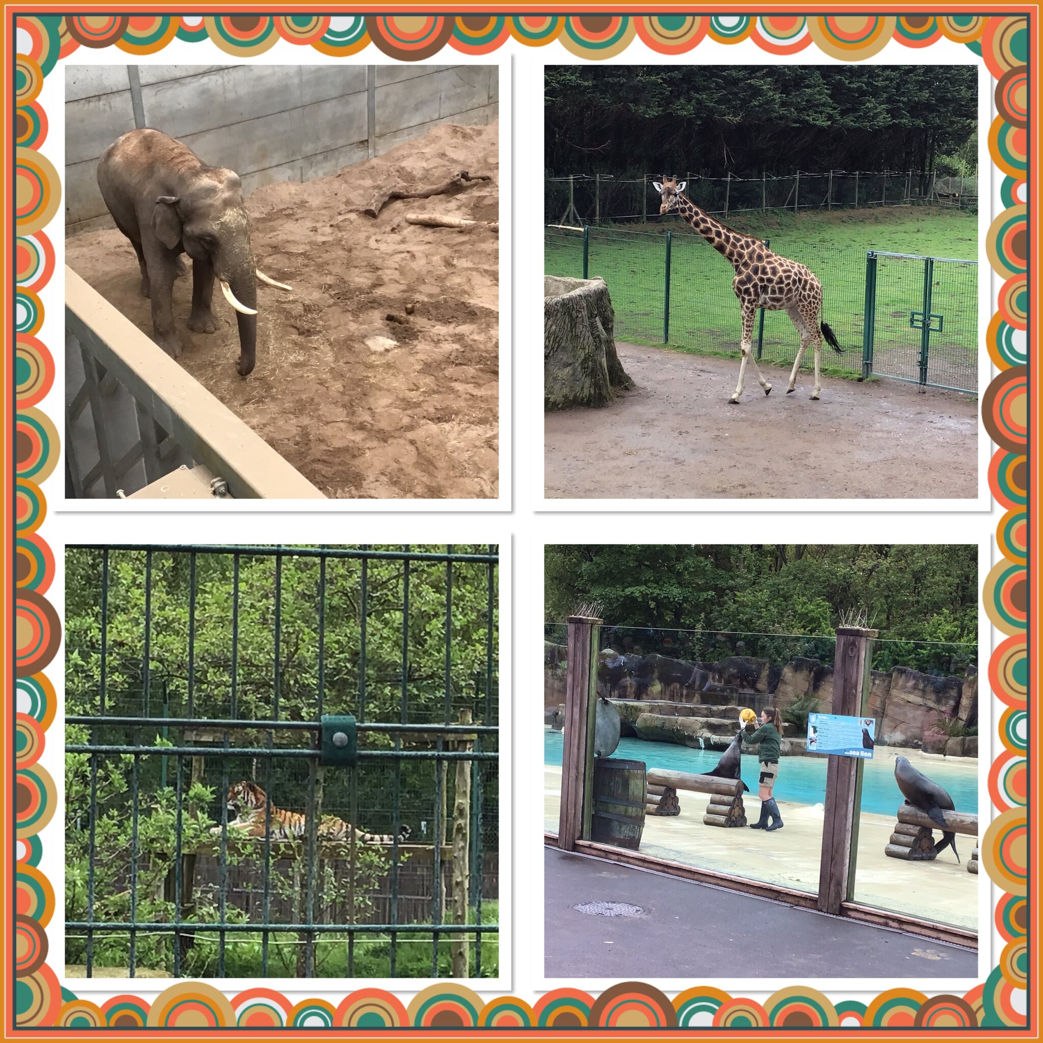 Image of Reception At Blackpool Zoo