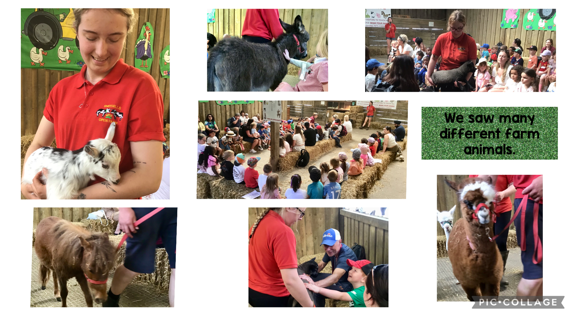 Image of We saw lots of different animals!