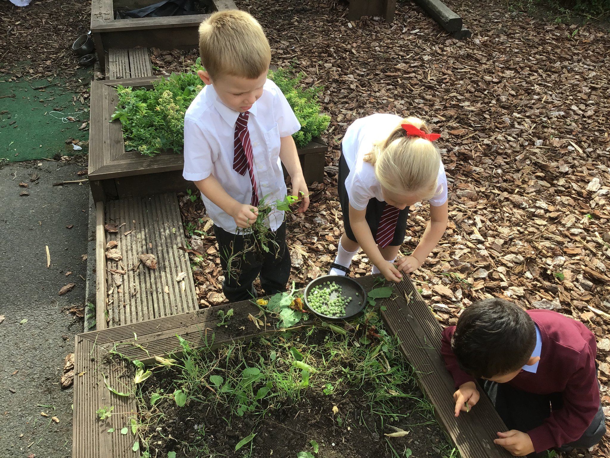 Image of Green fingers! 