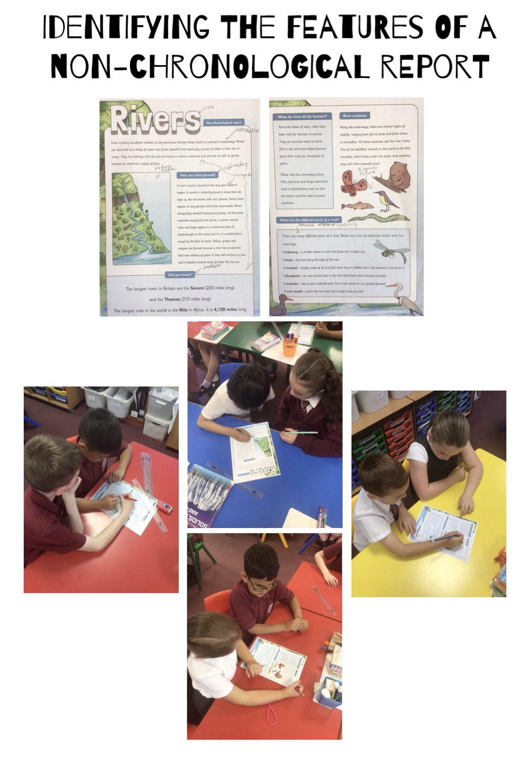 Image of Exploring non-chronological reports in English!