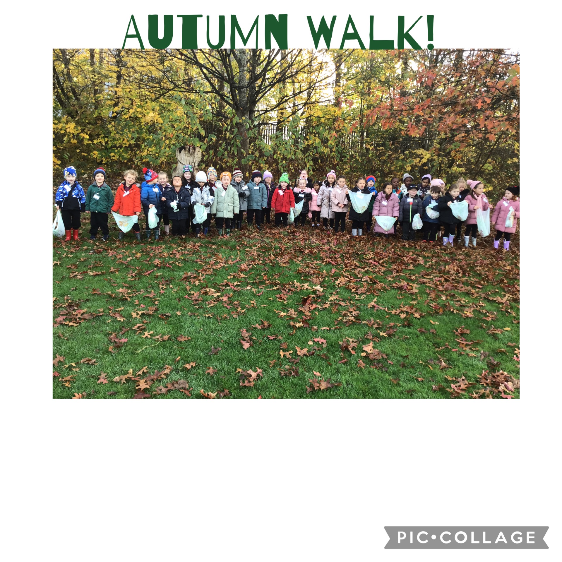 Image of Autumn Walk