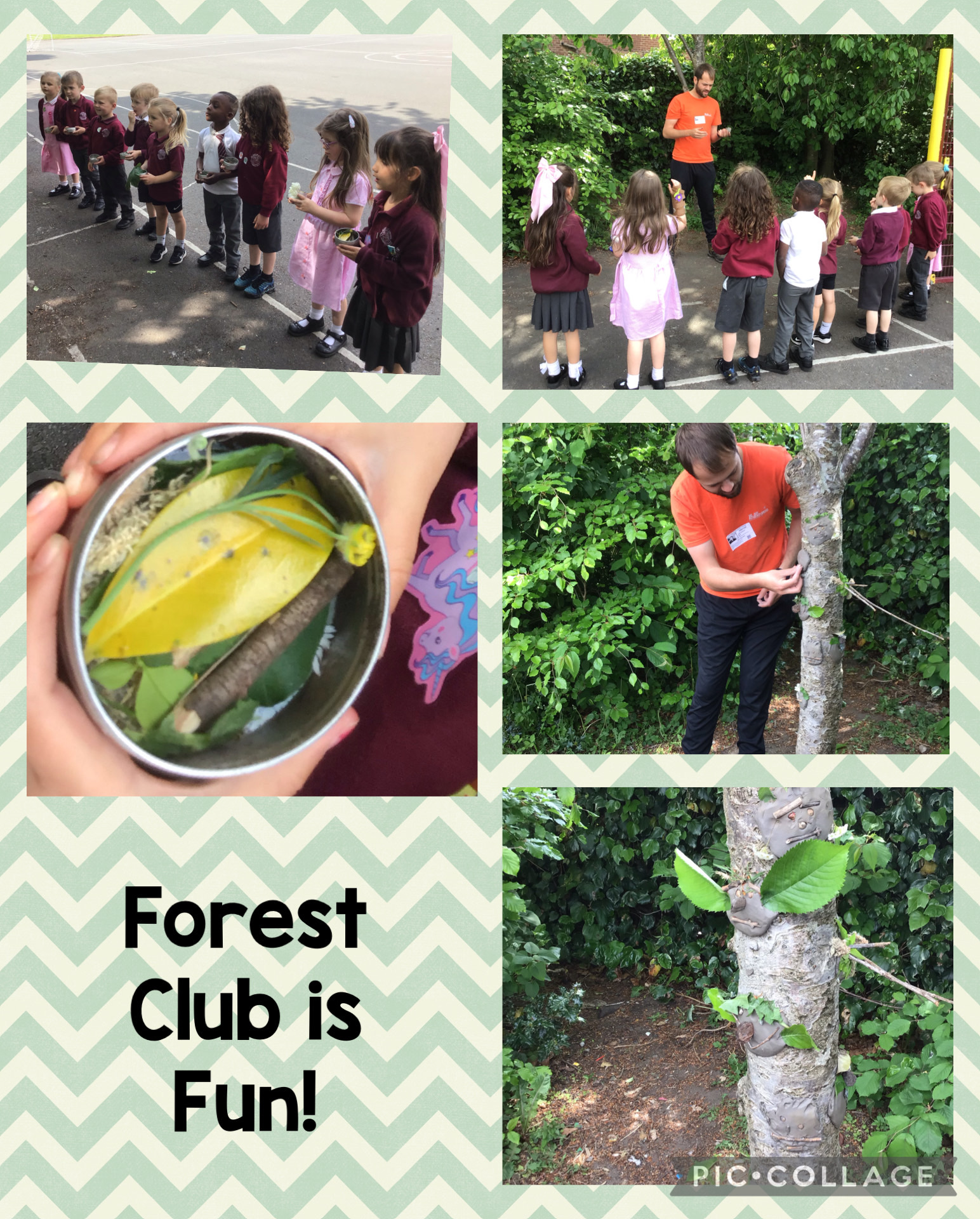 Image of Forest Club