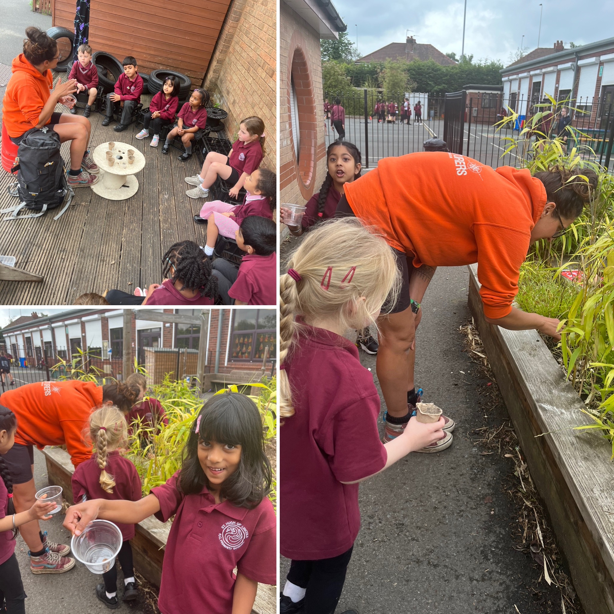 Image of EYFS Forest School 