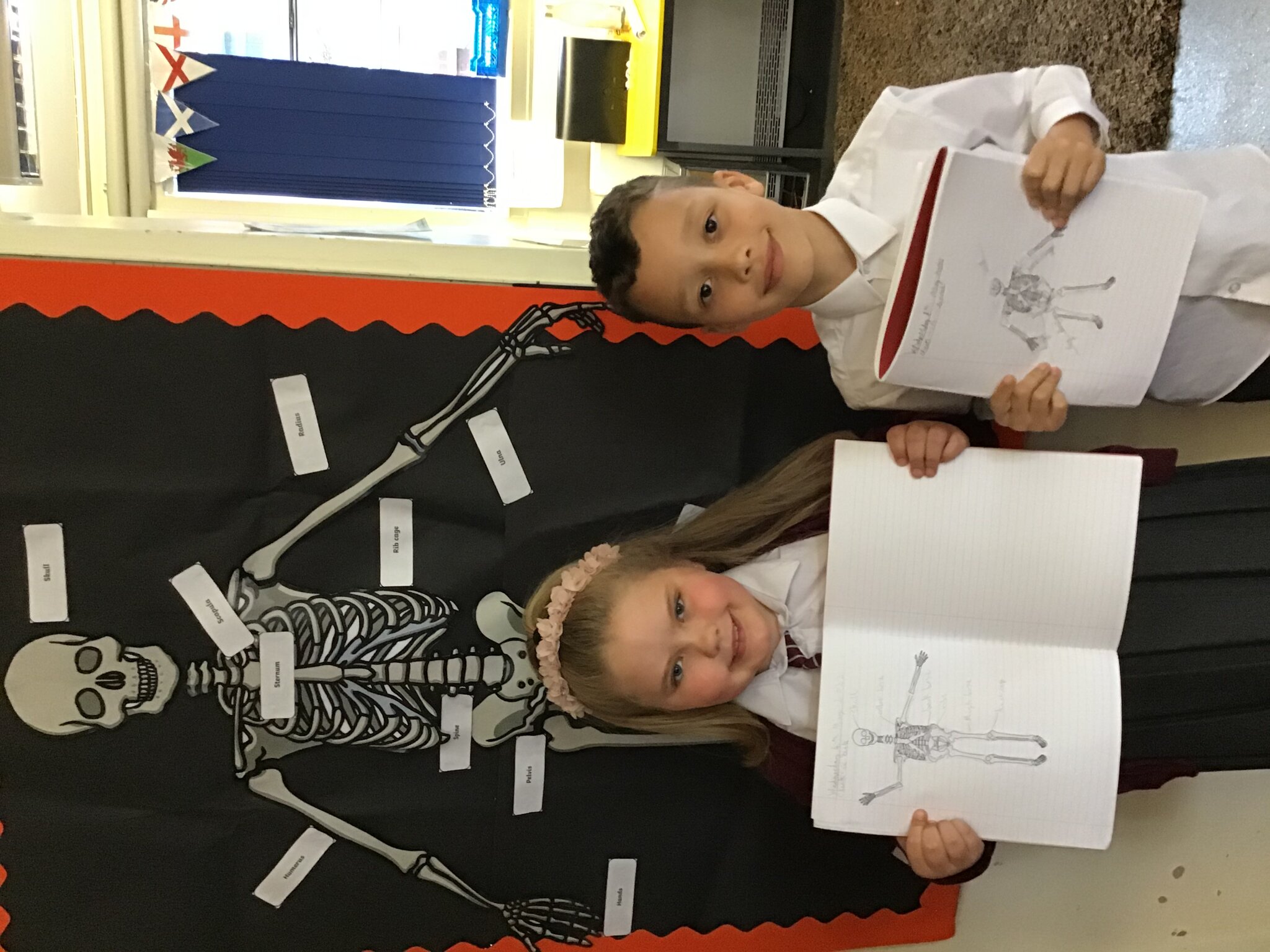 Image of Science check in task - our skeletons !