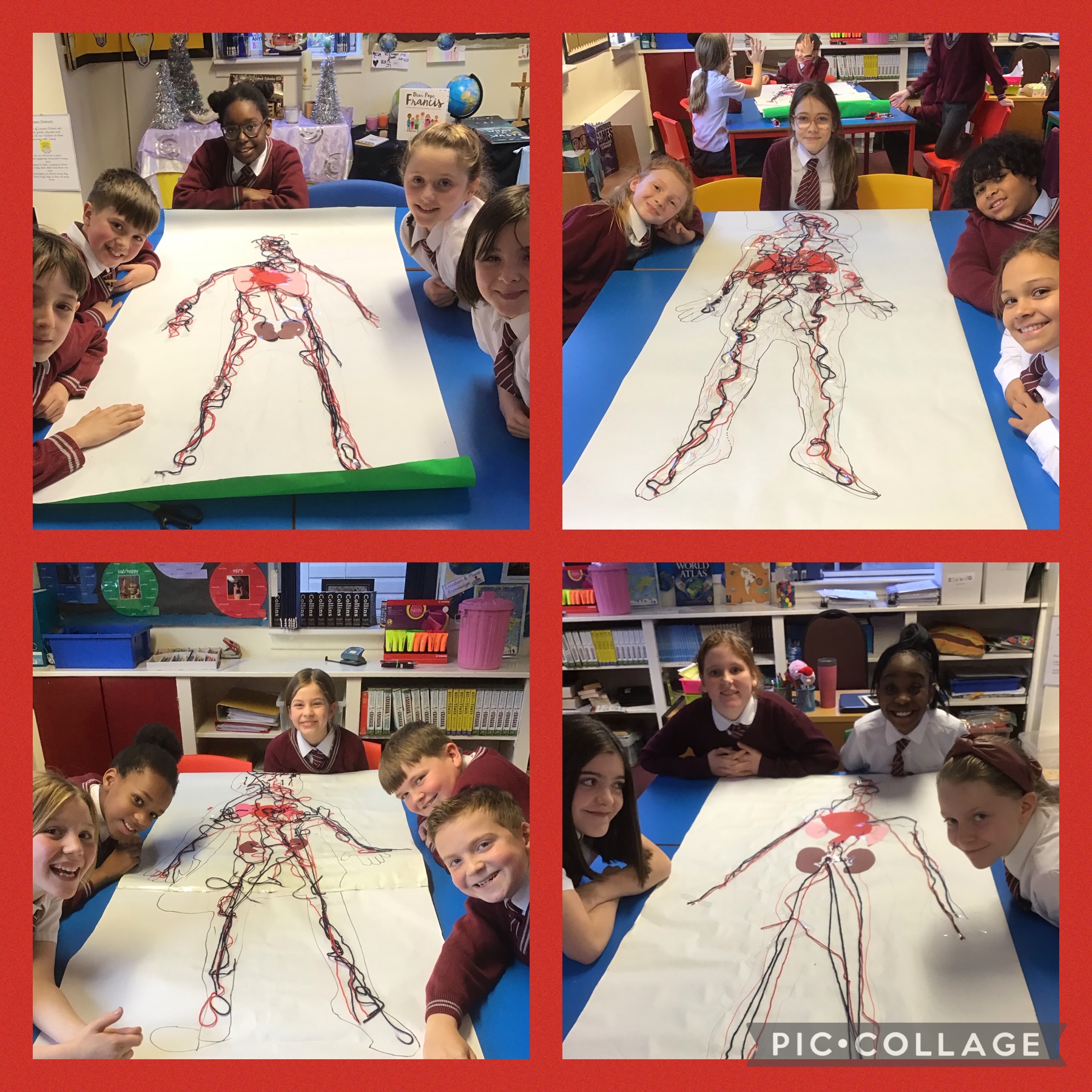 Image of Life Size Circulatory Systems