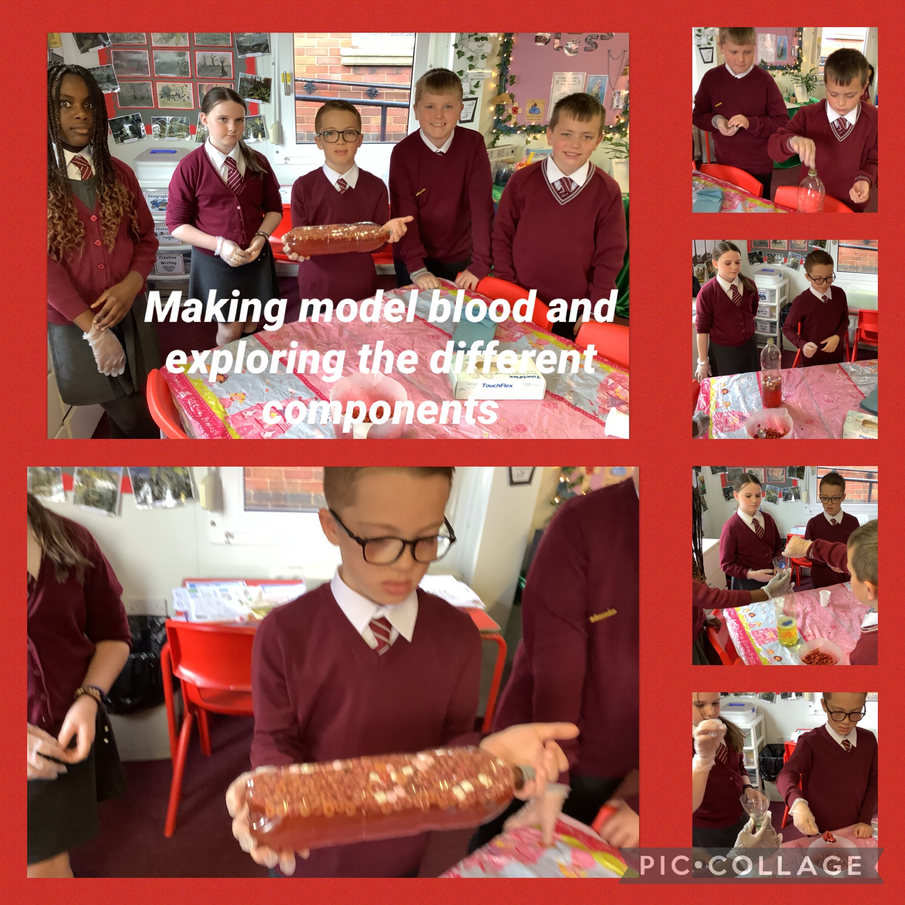 Image of Making Blood