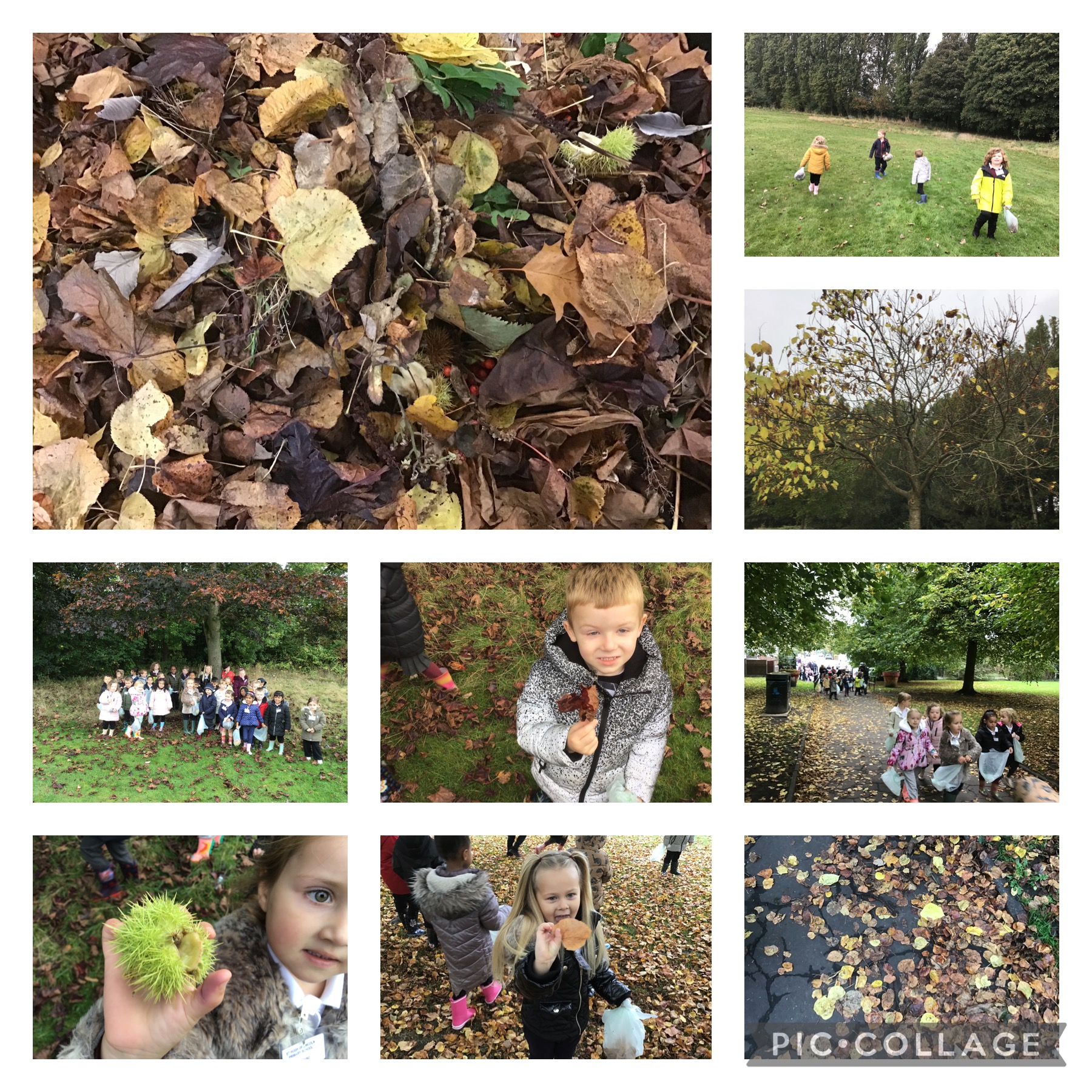 Image of Autumn Walk