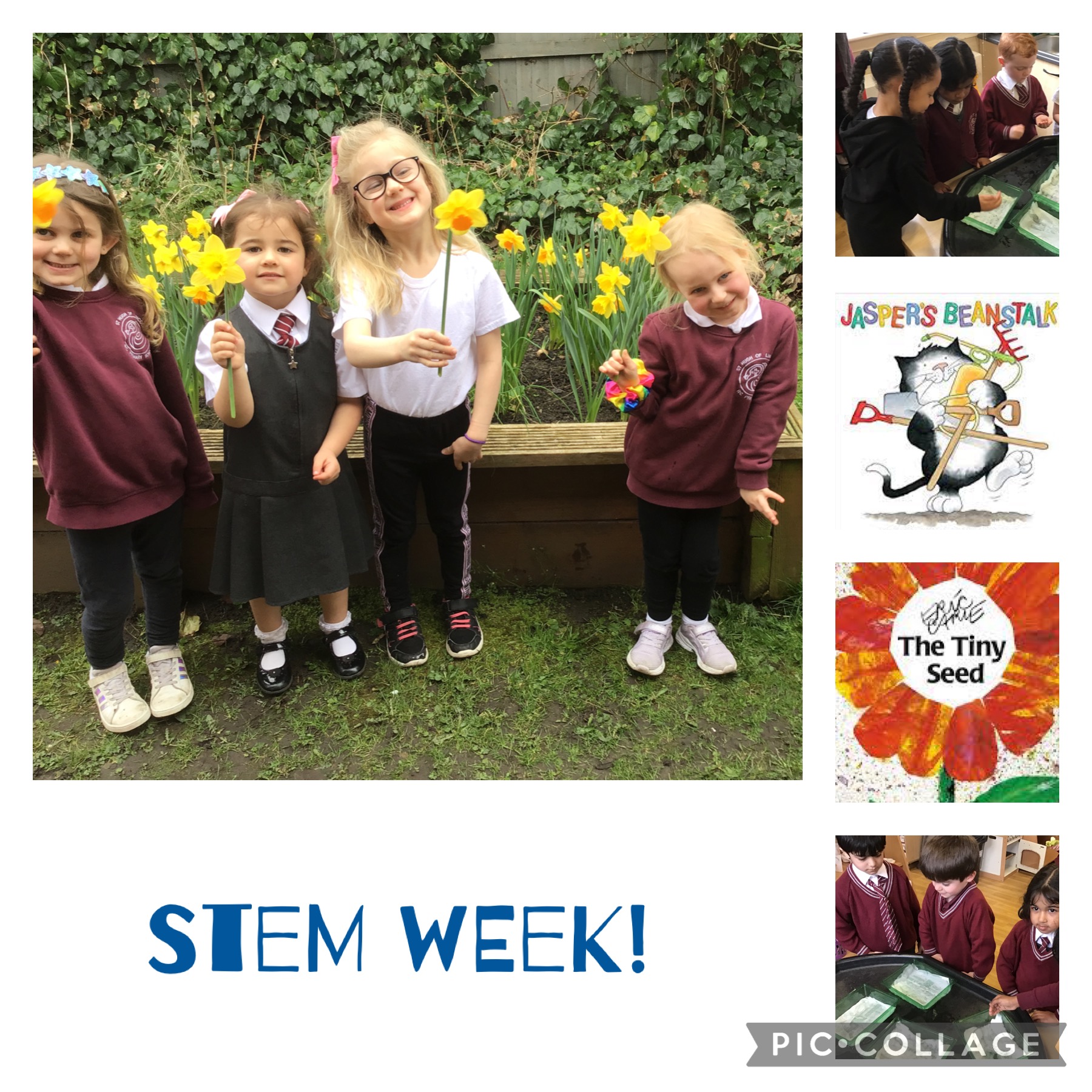 Image of STEM Week!