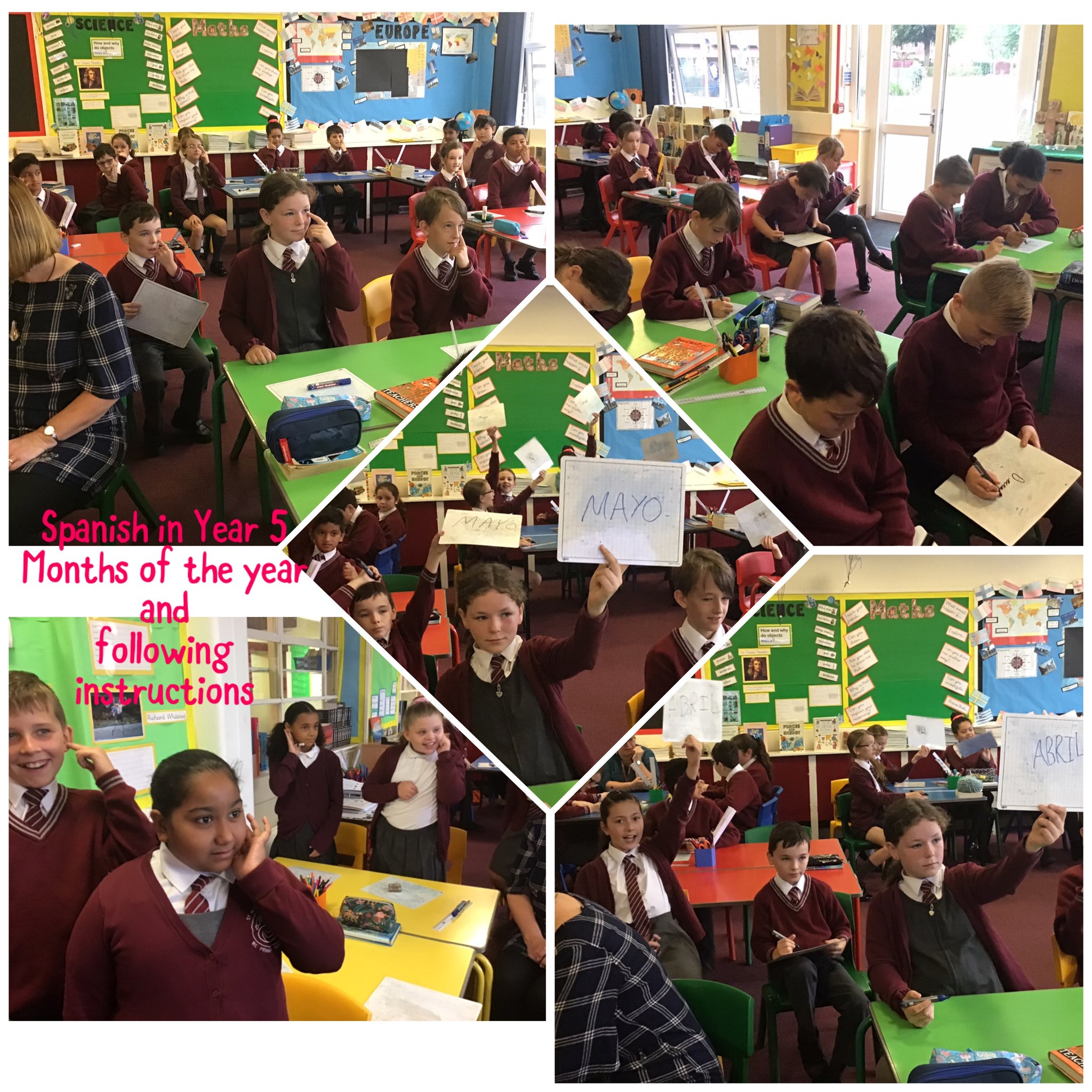 Image of Spanish in Year 5